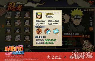 火影忍者最新手游爆料,神秘忍者登场，激战再起！