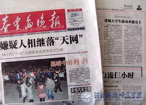 秦皇岛晚报爆料新闻最新,惊现神秘古墓，考古专家揭秘千年历史之谜