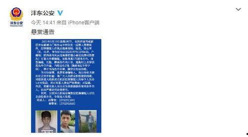 陕西新城区爆料案件最新,案情细节及最新进展揭秘”