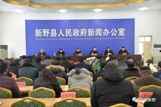 新野县新闻爆料事件最新,真相与舆论的交织