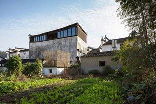 最新乡村都市大爆料,最新乡村发展动态大爆料