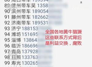 泰安热点爆料最新消息,揭秘重大事件背后真相！